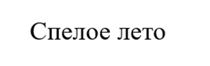 Изображение товарного знака (изобразительный знак)