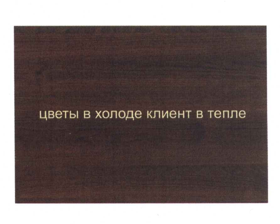 Изображение товарного знака (изобразительный знак)