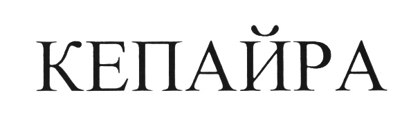 (изобразительный знак)