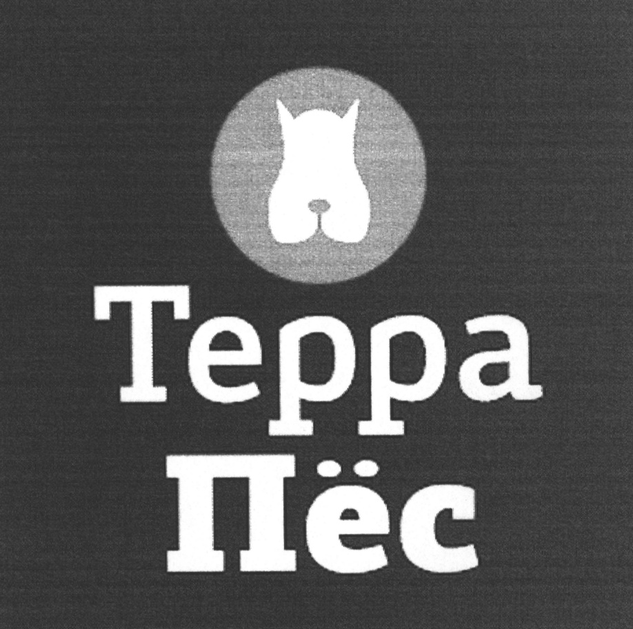 Изображение товарного знака (изобразительный знак)