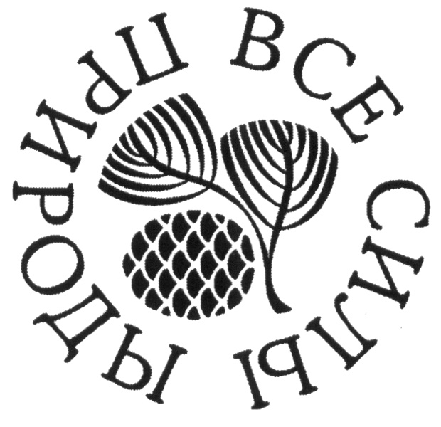 Изображение товарного знака (изобразительный знак)