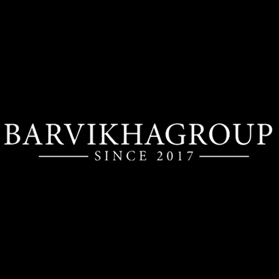 Изображение товарного знака BARVIKHAGROUP SINCE 2017