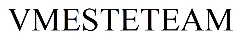 VMESTETEAM