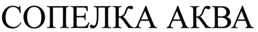 Изображение товарного знака (изобразительный знак)