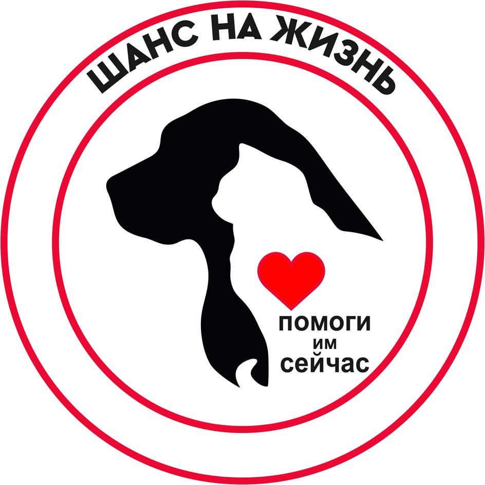 ШАНС НА ЖИЗНЬ ПОМОГИ ИМ СЕЙЧАС