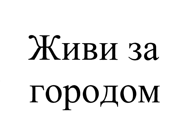 Изображение товарного знака (изобразительный знак)