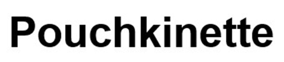 Pouchkinette