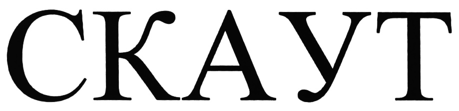 (изобразительный знак)