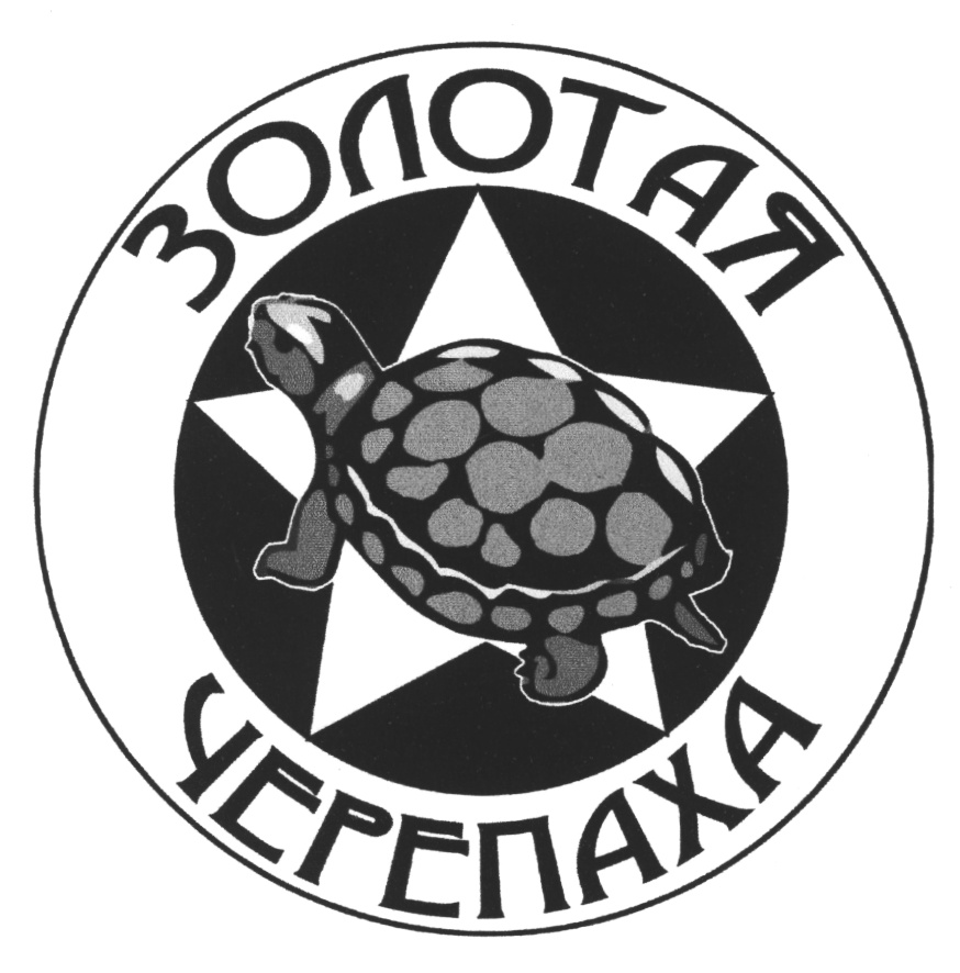 Изображение товарного знака (изобразительный знак)