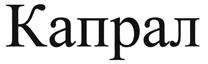 (изобразительный знак)