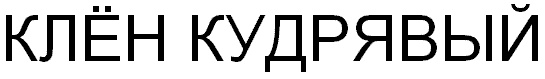 (изобразительный знак)