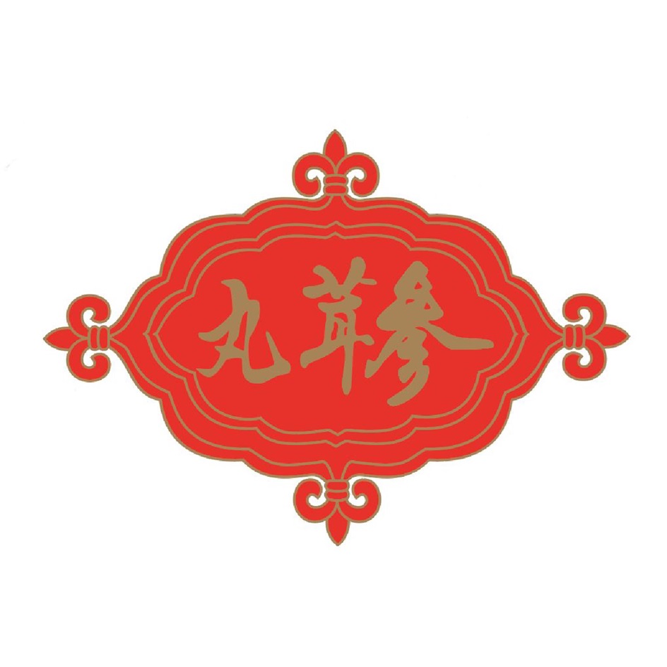丸养拳