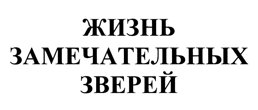 Изображение товарного знака (изобразительный знак)