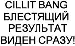 Изображение товарного знака (изобразительный знак)