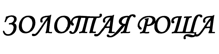 (изобразительный знак)