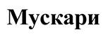 (изобразительный знак)