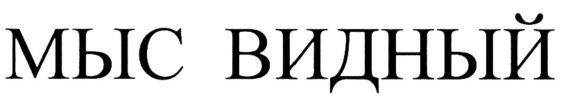 Изображение товарного знака (изобразительный знак)