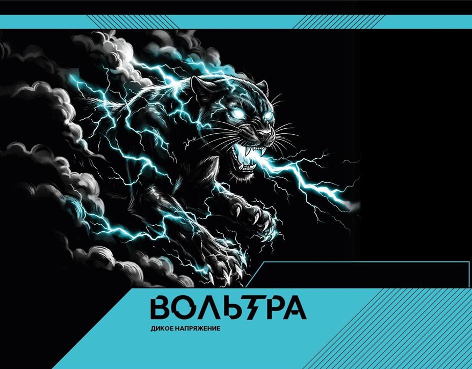 Изображение товарного знака (изобразительный знак)
