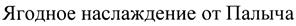 Изображение товарного знака (изобразительный знак)