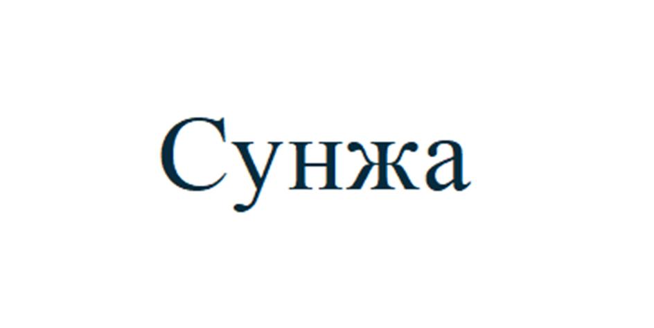 Изображение товарного знака (изобразительный знак)