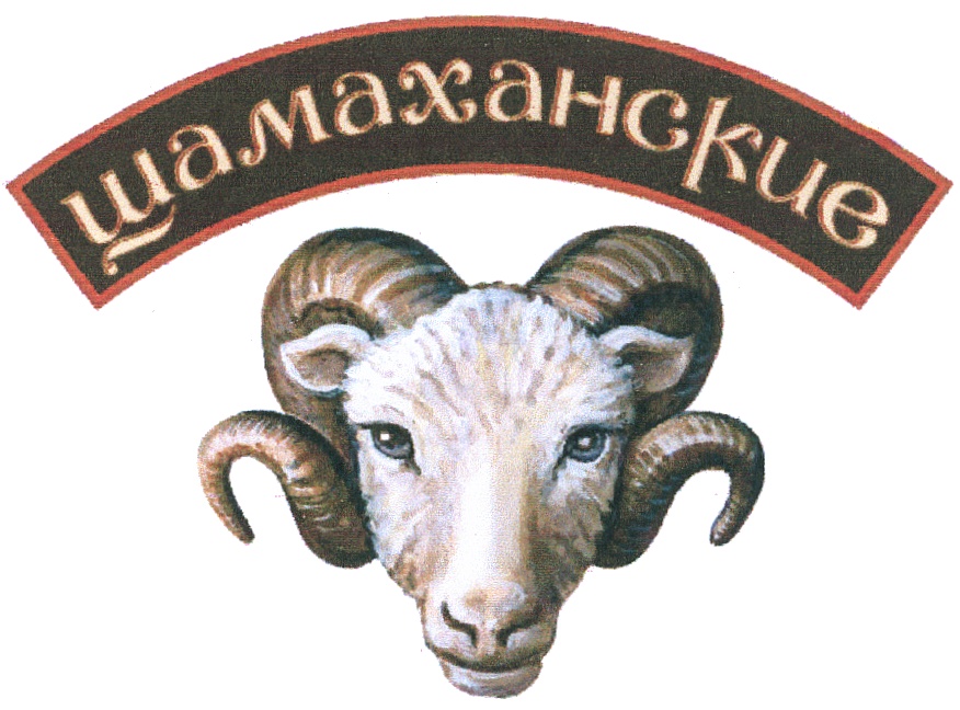 Изображение товарного знака (изобразительный знак)