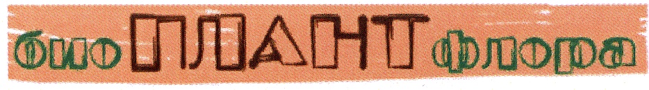 (изобразительный знак)