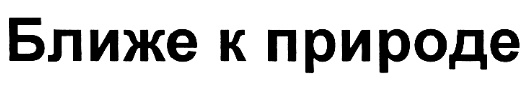 (изобразительный знак)