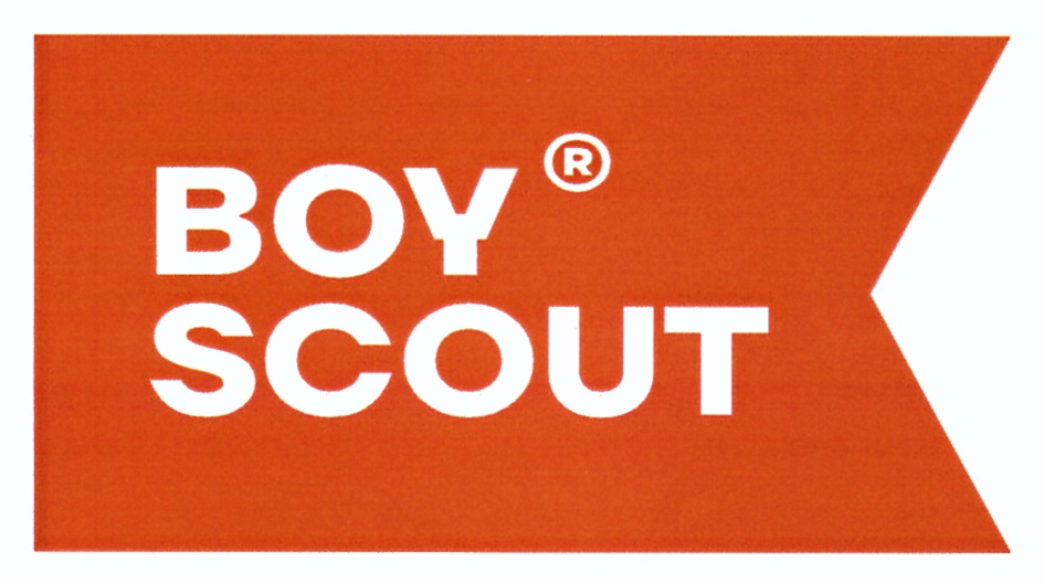 BOY SCOUT®