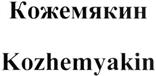 Изображение товарного знака (изобразительный знак)