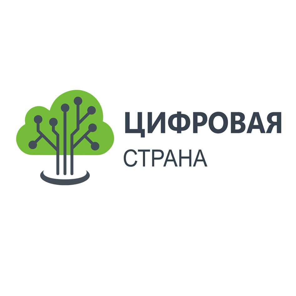 ЦИФРОВАЯ СТРАНА