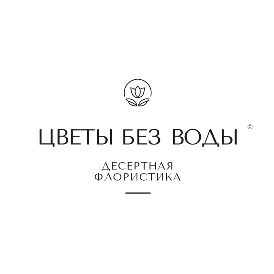 ЦВЕТЫ БЕЗ ВОДЫ ДЕСЕРТНАЯ ФЛОРИСТИКА