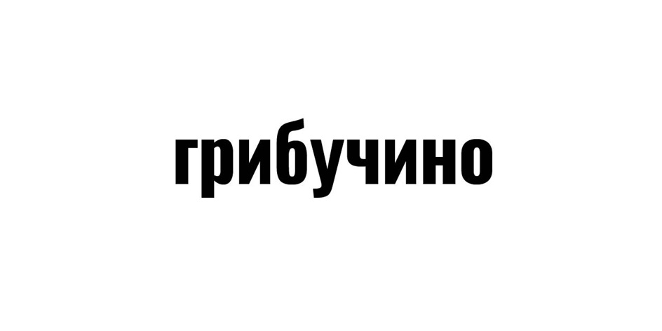 Изображение товарного знака (изобразительный знак)