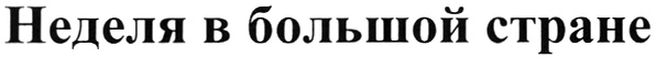 Изображение товарного знака (изобразительный знак)