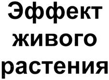 Изображение товарного знака (изобразительный знак)
