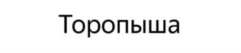(изобразительный знак)
