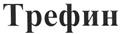 Изображение товарного знака (изобразительный знак)