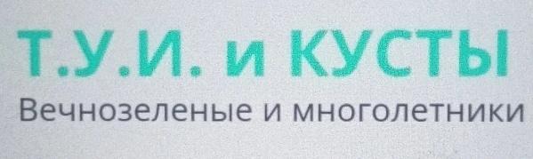 (изобразительный знак)
