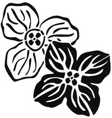 Изображение товарного знака (изобразительный знак)