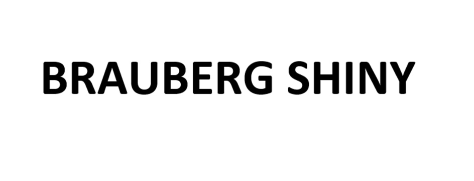 BRAUBERG SHINY