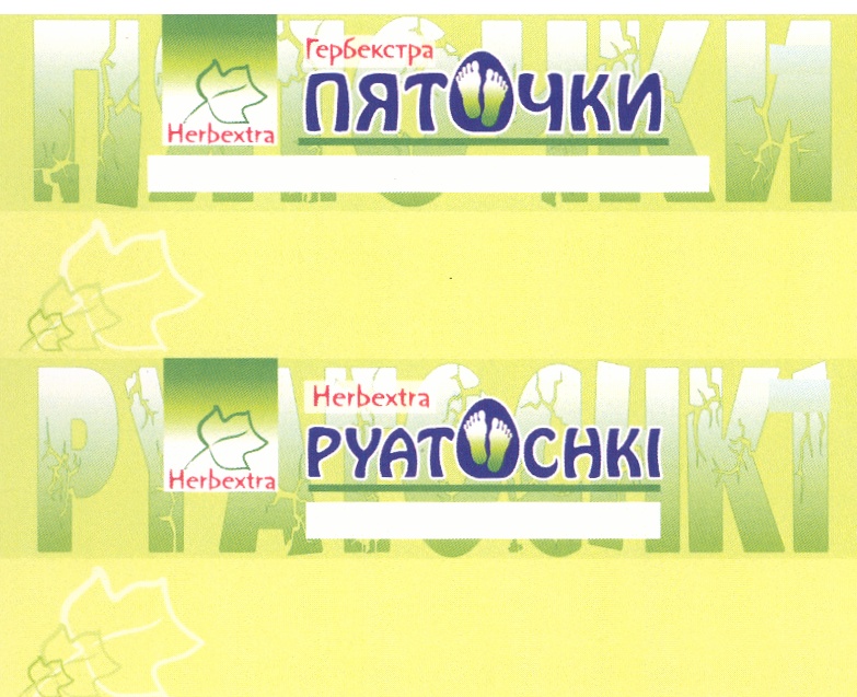 Изображение товарного знака (изобразительный знак)