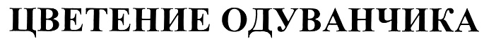 (изобразительный знак)