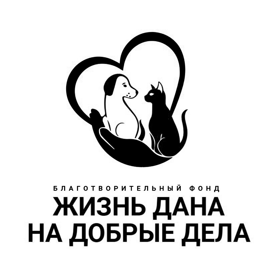 БЛАГОТВОРИТЕЛЬНЫЙ ФОНД ЖИЗНЬ ДАНА НА ДОБРЫЕ ДЕЛА