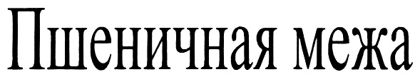 Изображение товарного знака (изобразительный знак)