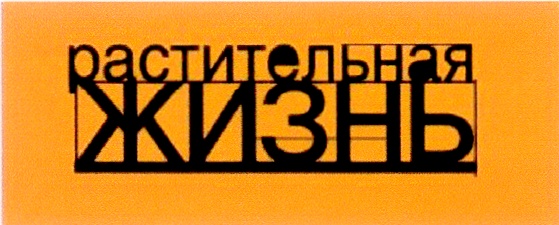 Изображение товарного знака (изобразительный знак)