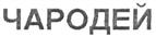 Изображение товарного знака (изобразительный знак)
