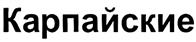 Изображение товарного знака (изобразительный знак)
