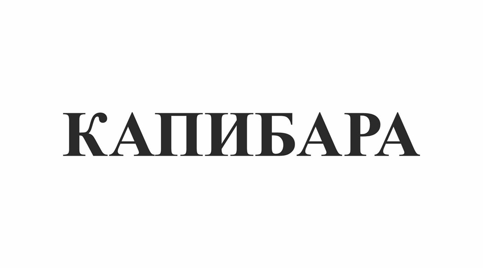 (изобразительный знак)