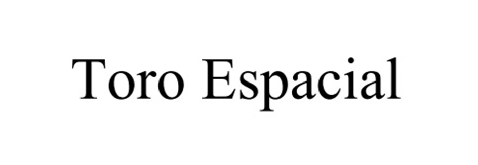 Toro Espacial