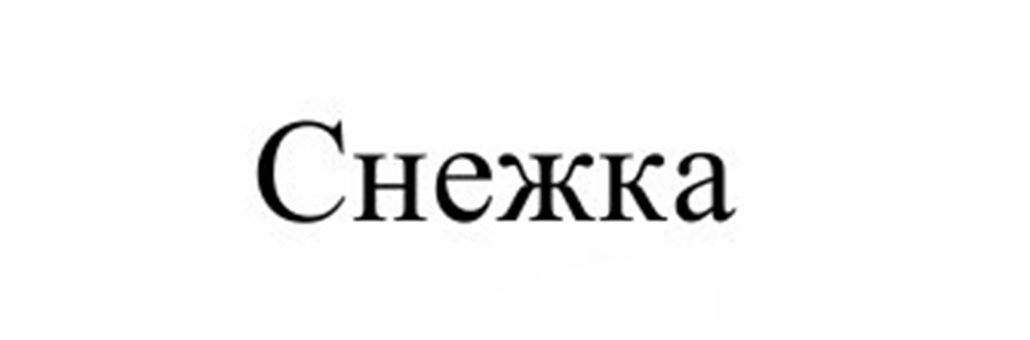 Снежка