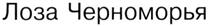 (изобразительный знак)